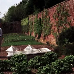 The Victorian Kitchen Garden