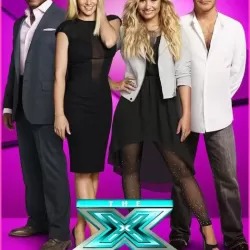 The X Factor (US)