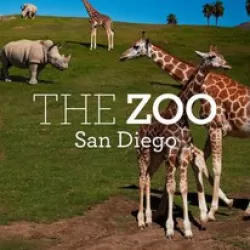 The Zoo: San Diego