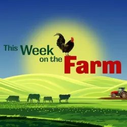 This Week On The Farm
