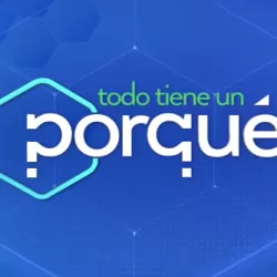 Todo tiene un porqué