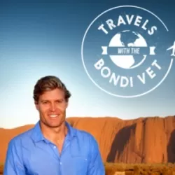 Travels with the Bondi Vet