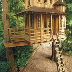 Treehouse Masters