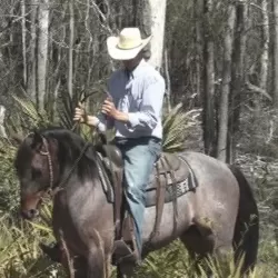 Trey Young American Horseman