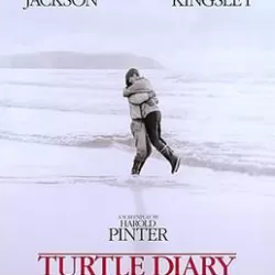 Turtle Diary