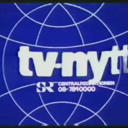 TV-nytt