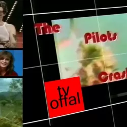 TV Offal