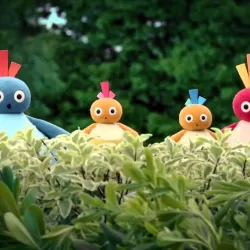 Twirlywoos