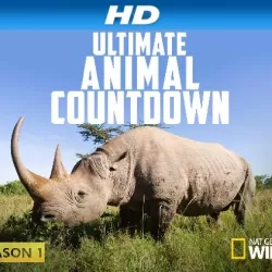 Ultimate Animal Countdown