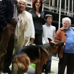 Una famiglia in giallo