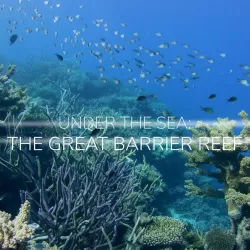 Under The Sea: The Great Barrier Reef