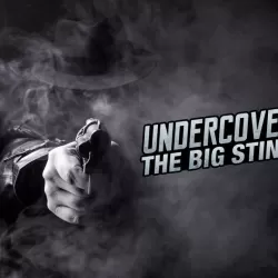 Undercover - The Big Sting
