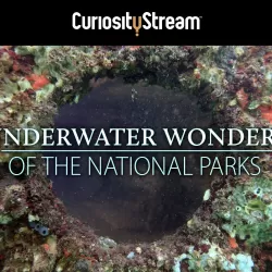Underwater Wonders of the National Parks