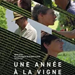 Une année à la vigne, les domaines du possible