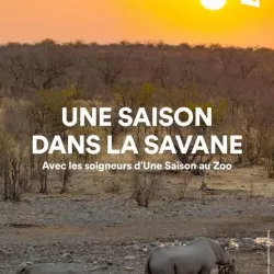 Une saison dans la savane