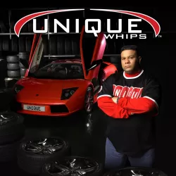 Unique Whips