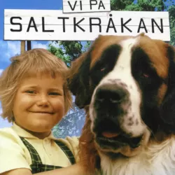 Vi på Saltkråkan