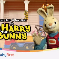 Vocabulary & Numbers With Harry the Bunny