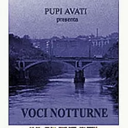 Voci notturne