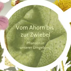 Vom Ahorn bis zur Zwiebel