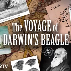 Voyage of Darwin's Beagle: On The Future of Species