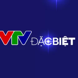 VTV Đặc biệt