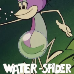 Waterspider-Wonderspider