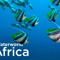 Waterworld Africa