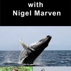 Whale Adventure with Nigel Marven