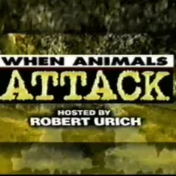 When Animals Attack!