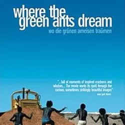 Where the Green Ants Dream