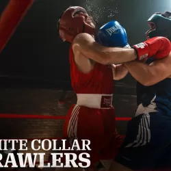 White Collar Brawlers