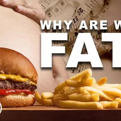 Why are We Fat?