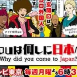 Why Did You Come to Japan?