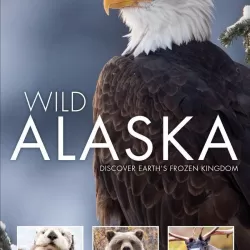 Wild Alaska