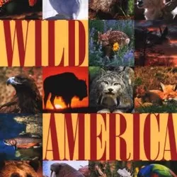 Wild America