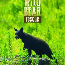 Wild Bear Rescue