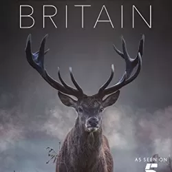 Wild Britain