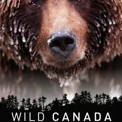 Wild Canada