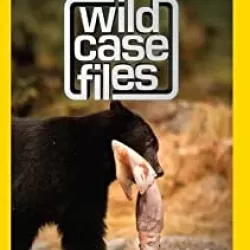 Wild Case Files