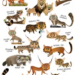 Wild Cats of India