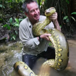 Wild Colombia with Nigel Marven