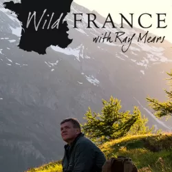 Wild France With Ray Mears