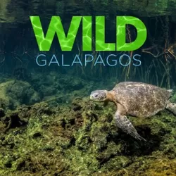 Wild Galapagos