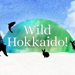 Wild Hokkaido!
