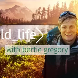 Wild Life With Bertie Gregory