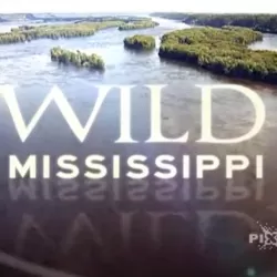 Wild Mississippi