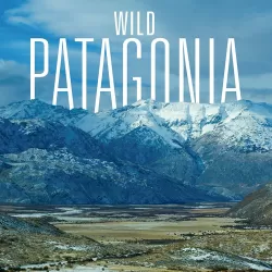 Wild Patagonia