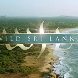 Wild Sri Lanka