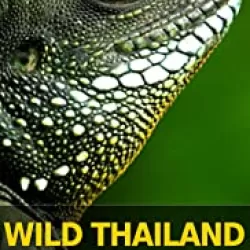 Wild Thailand